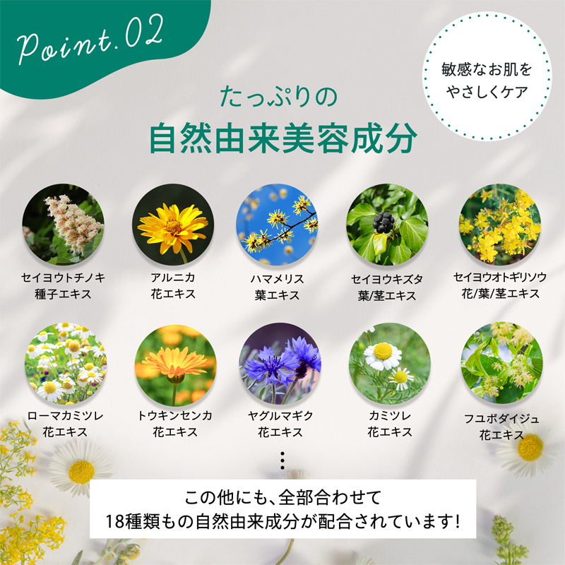 point02 たっぷりの自然由来美容成分