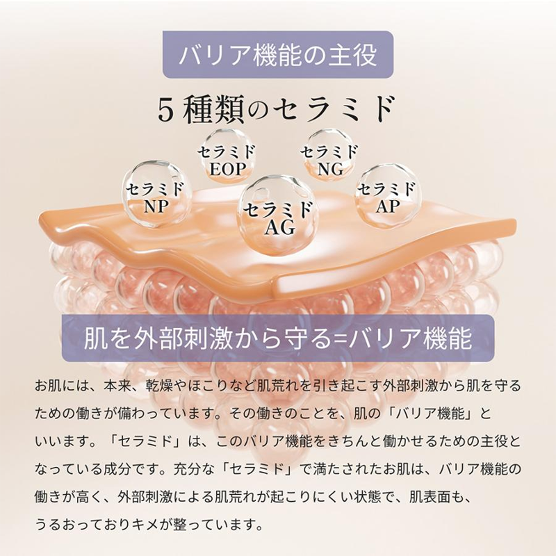 5種類のセラミド