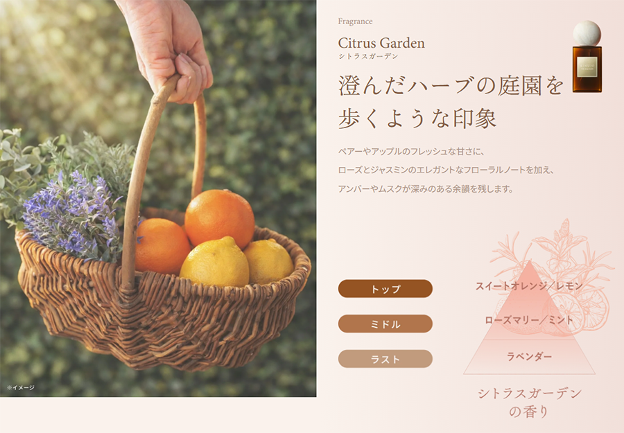 澄んだハーブの庭園を歩くような印象