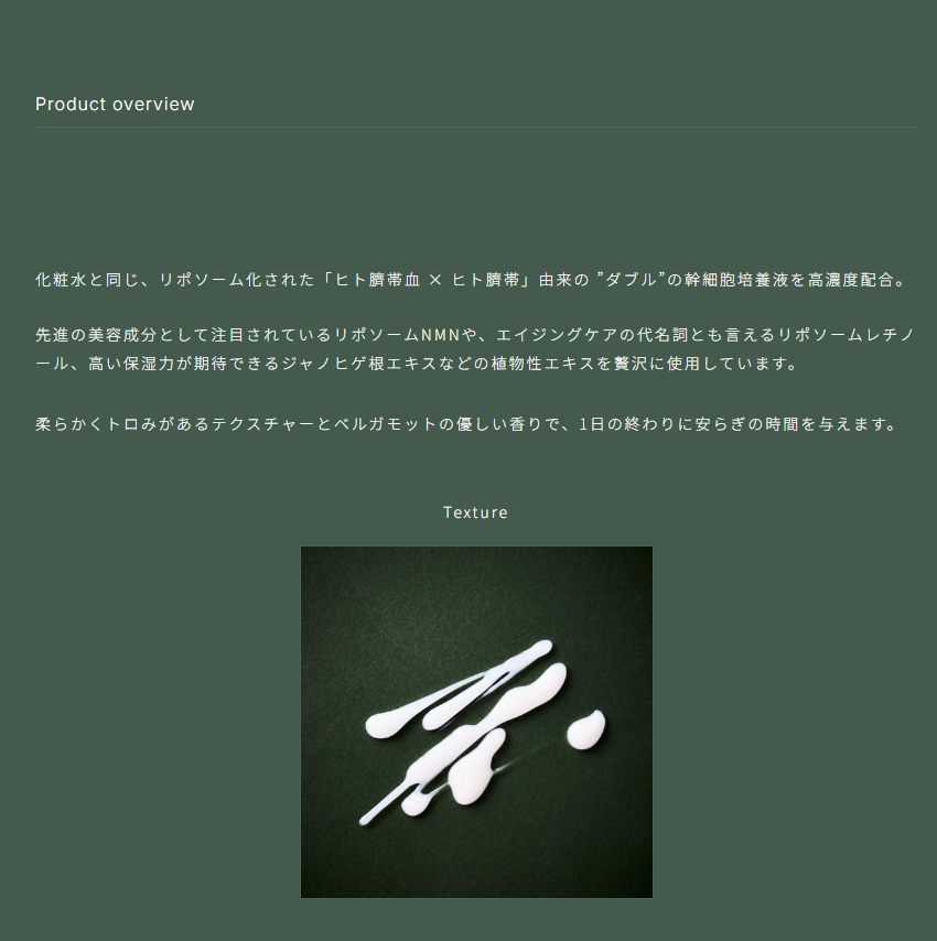 商品説明