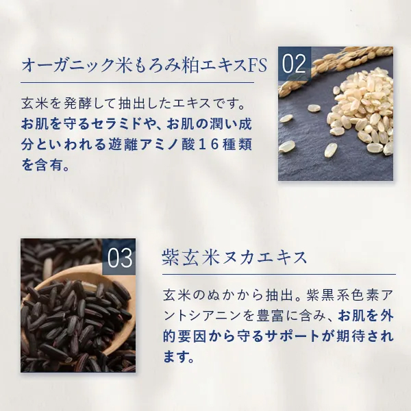 コメ由来成分