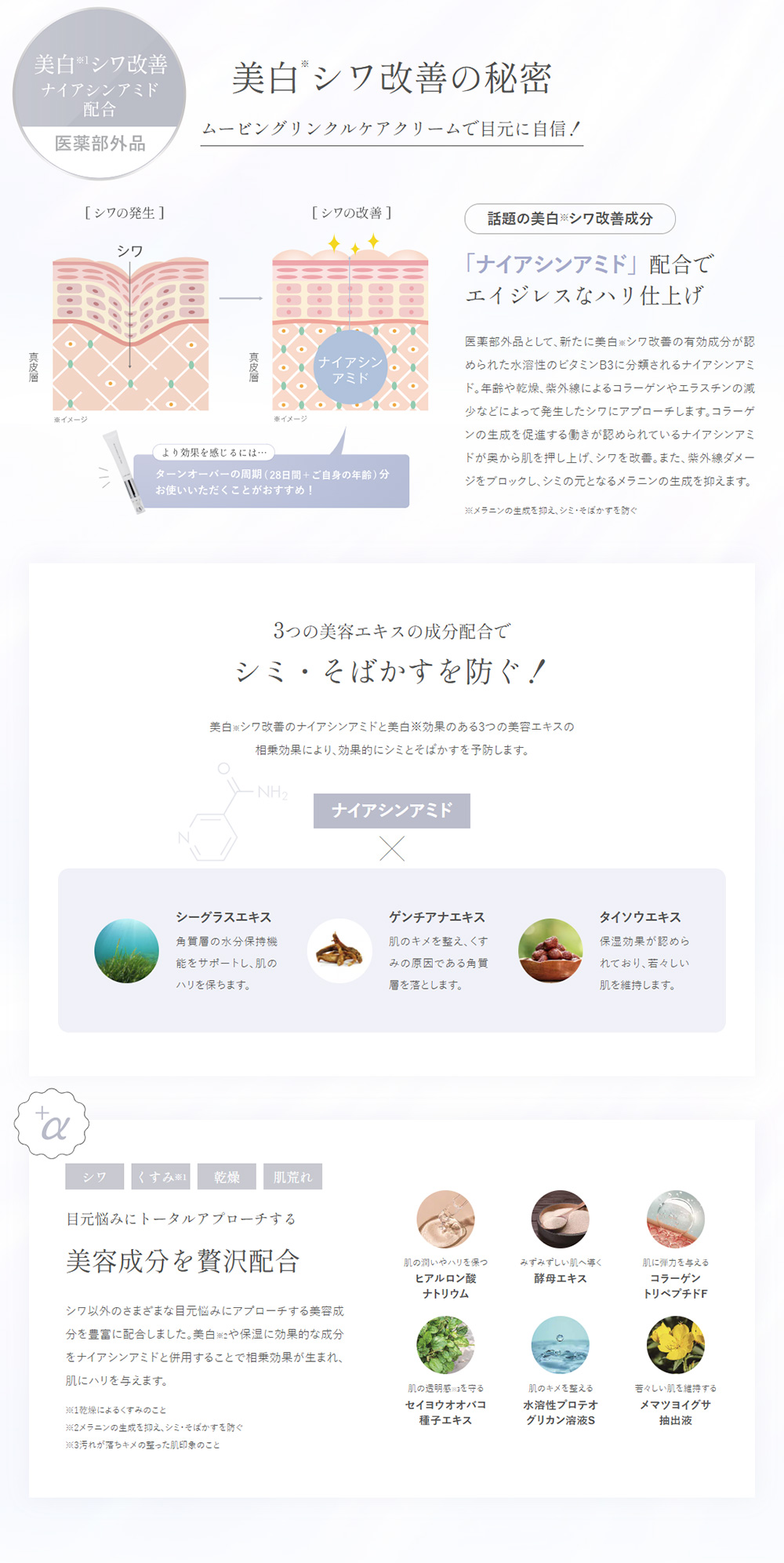 美白シワ改善の秘密