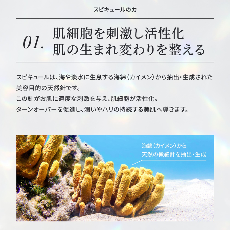 01 肌細胞を刺激し活性化 肌の生まれ変わりを整える