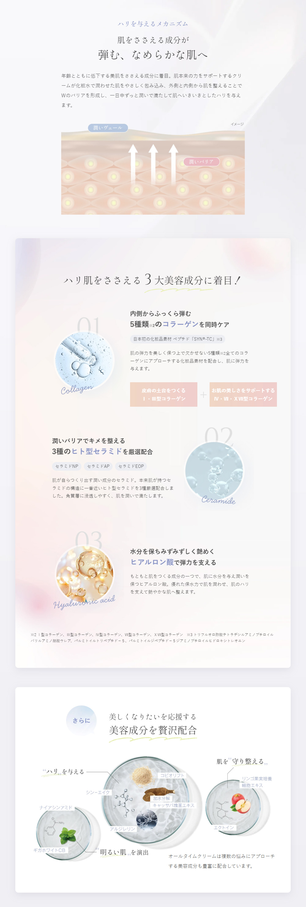ハリを与えるメカニズム