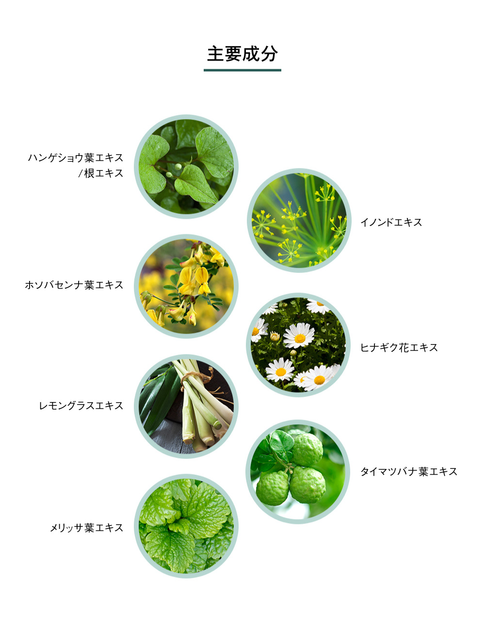 主要成分