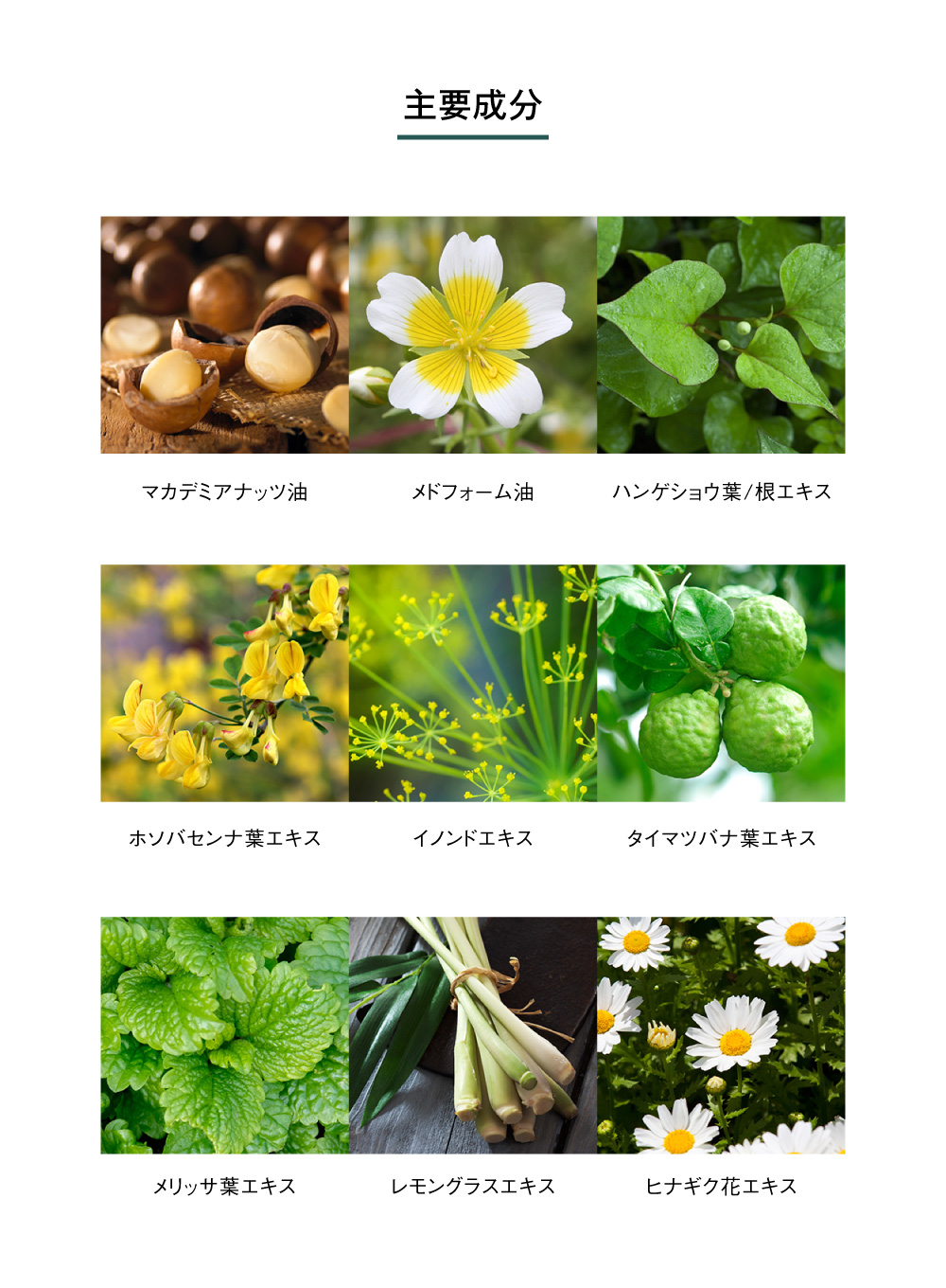 主要成分