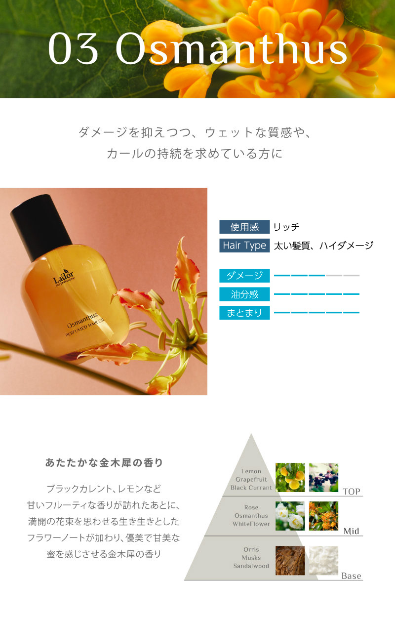 03 Osmanthus