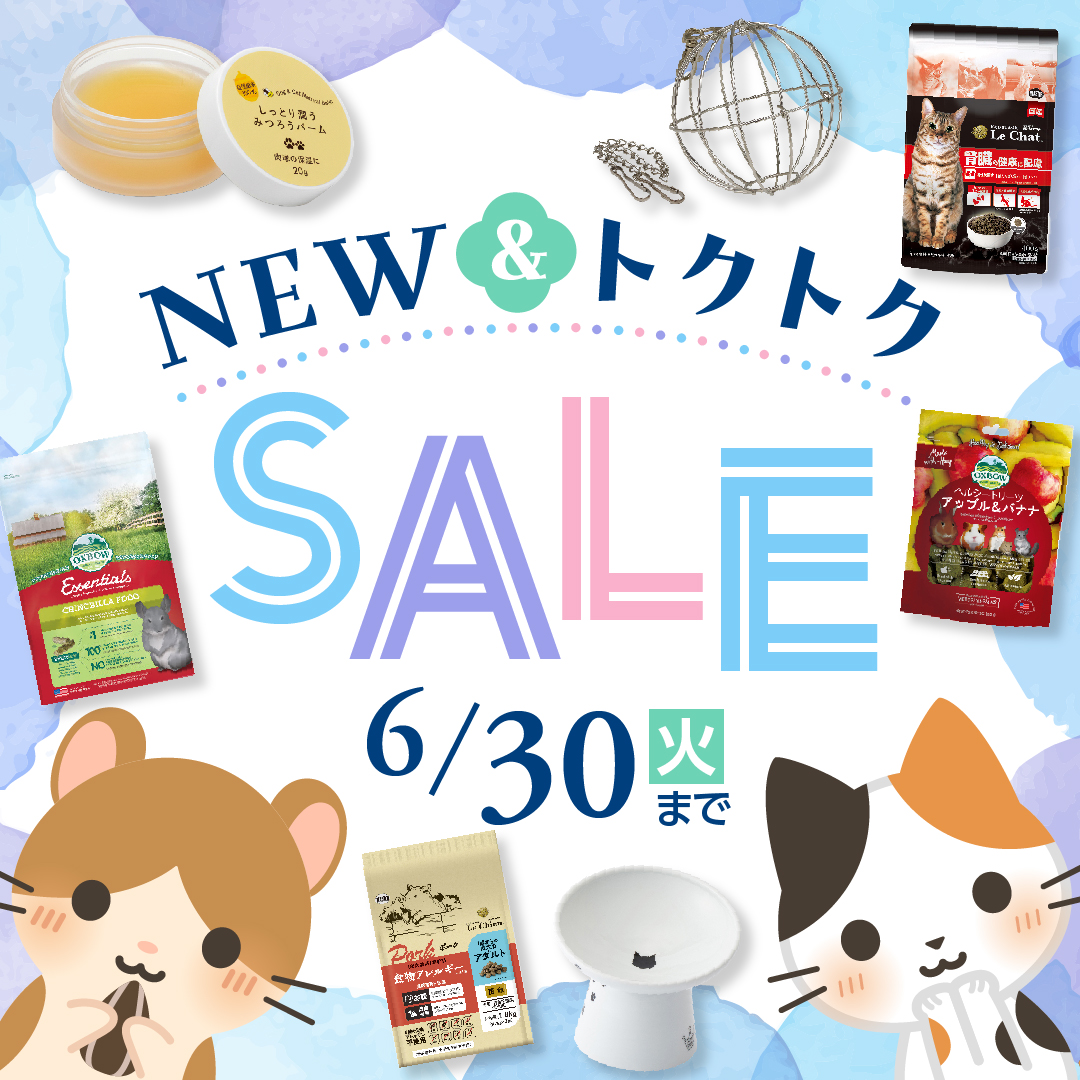 動物病院様向け 6月NEW&トクトクセール（2026.6.30まで）