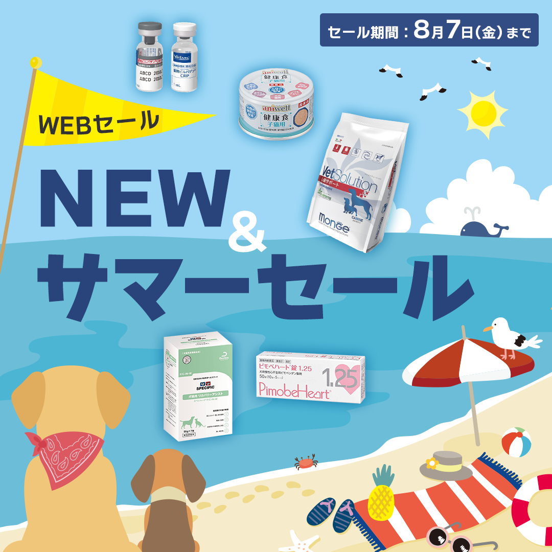 Vet WEBセール NEW&サマーセール(2026.8.7まで)