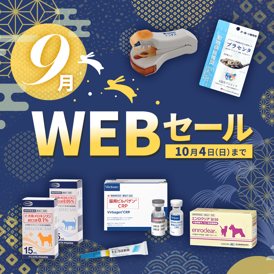 動物病院様向け 9月WEBセール（2026.10.4まで）