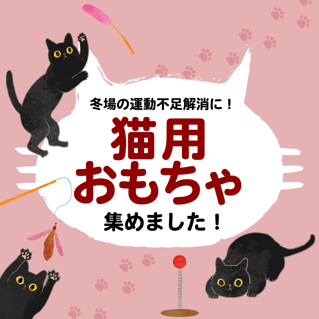 猫用おもちゃ