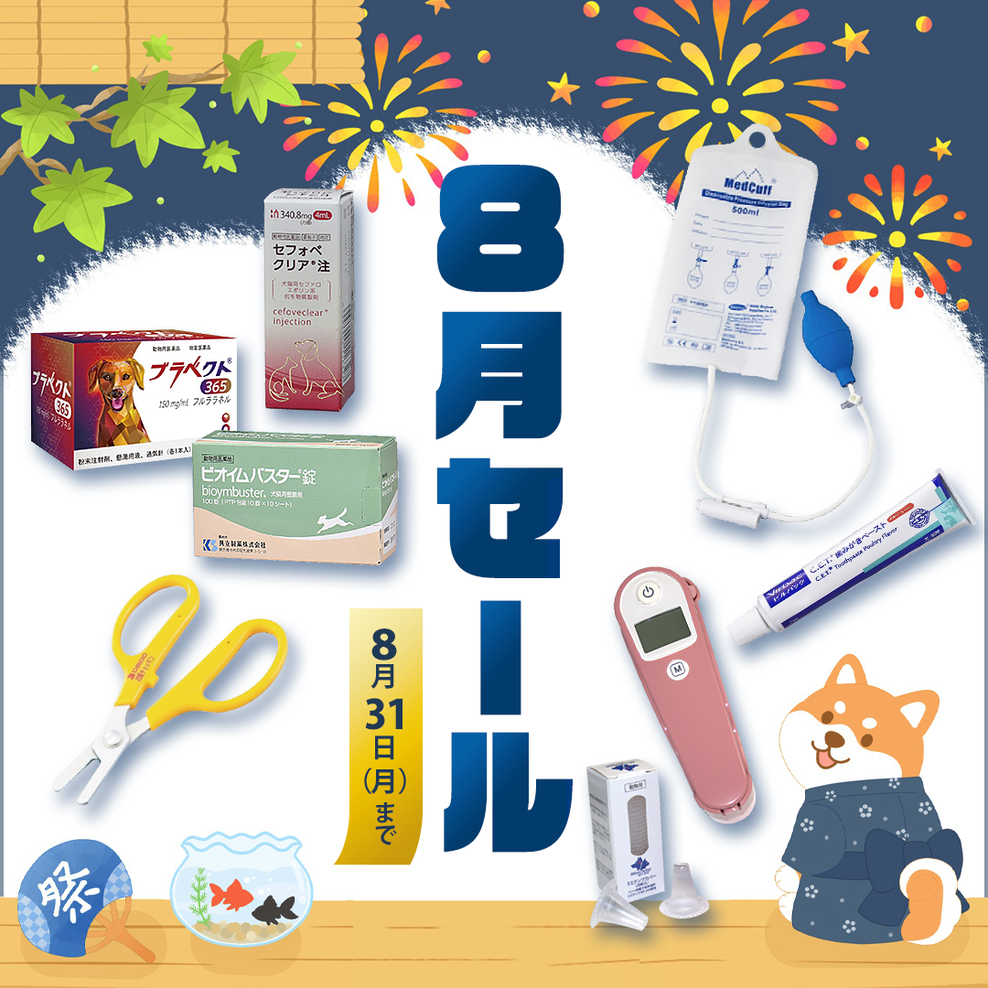 Vet WEB限定 8月セール（2026.8.31まで）
