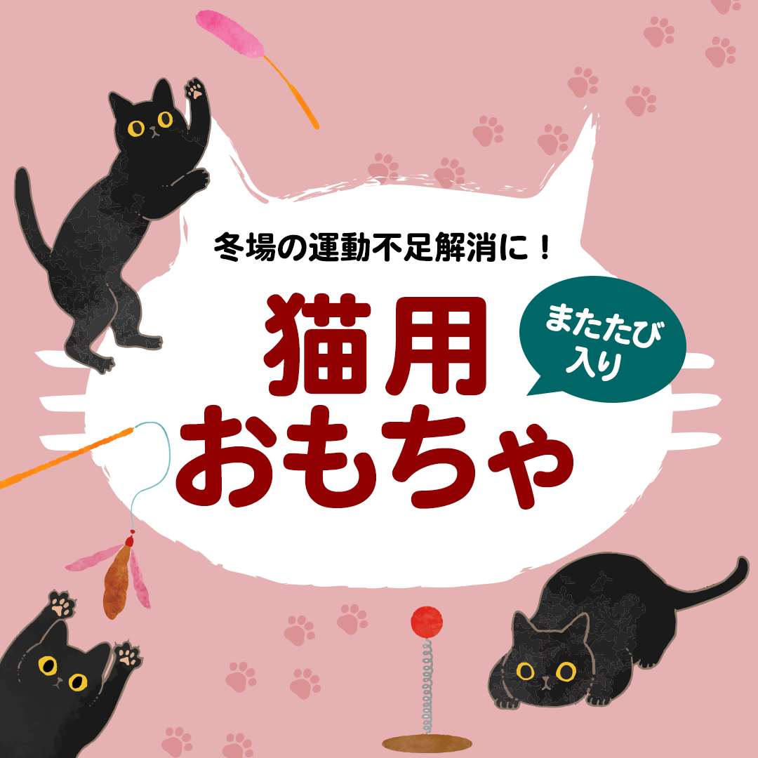 猫用おもちゃ