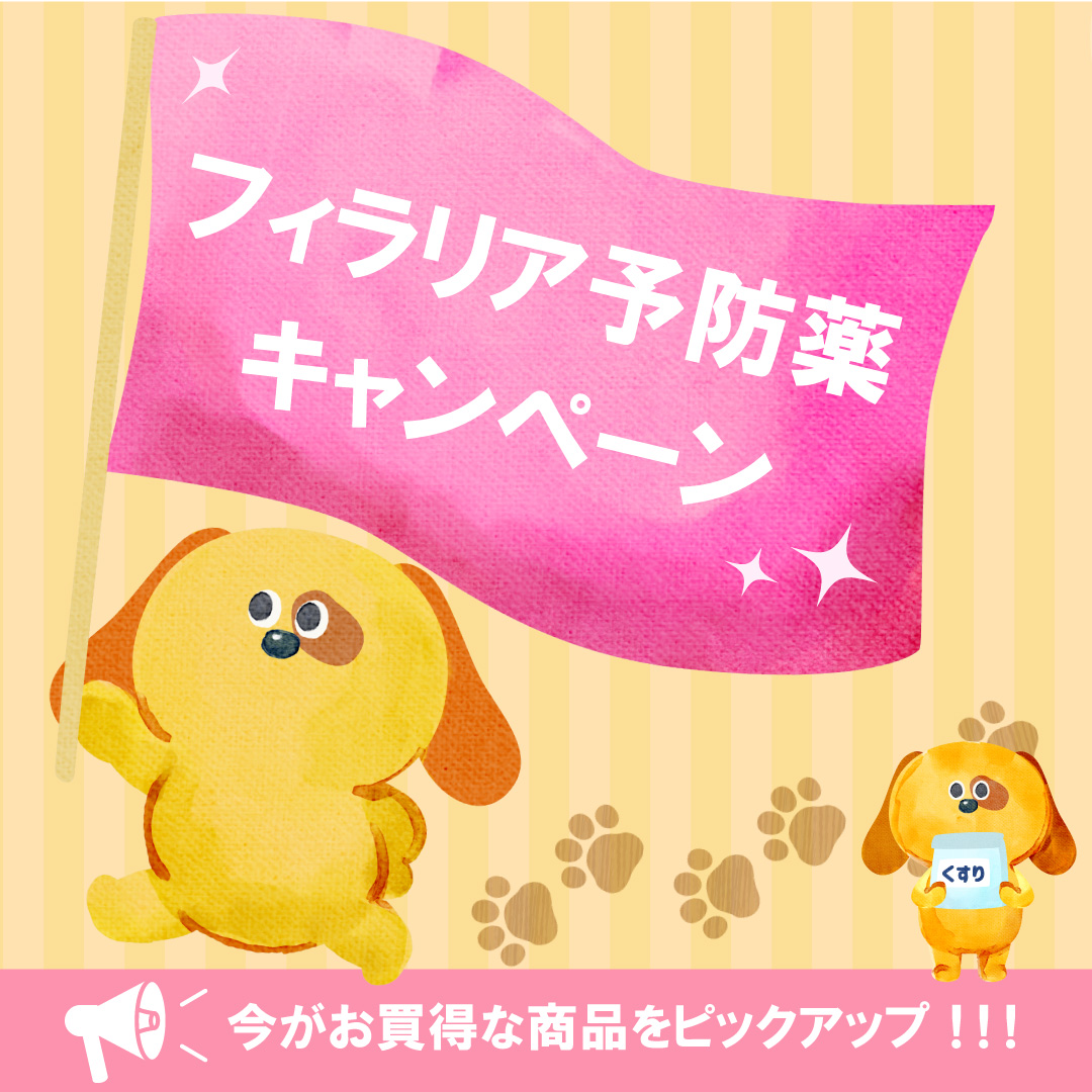 Vet フィラリア予防薬キャンペーン