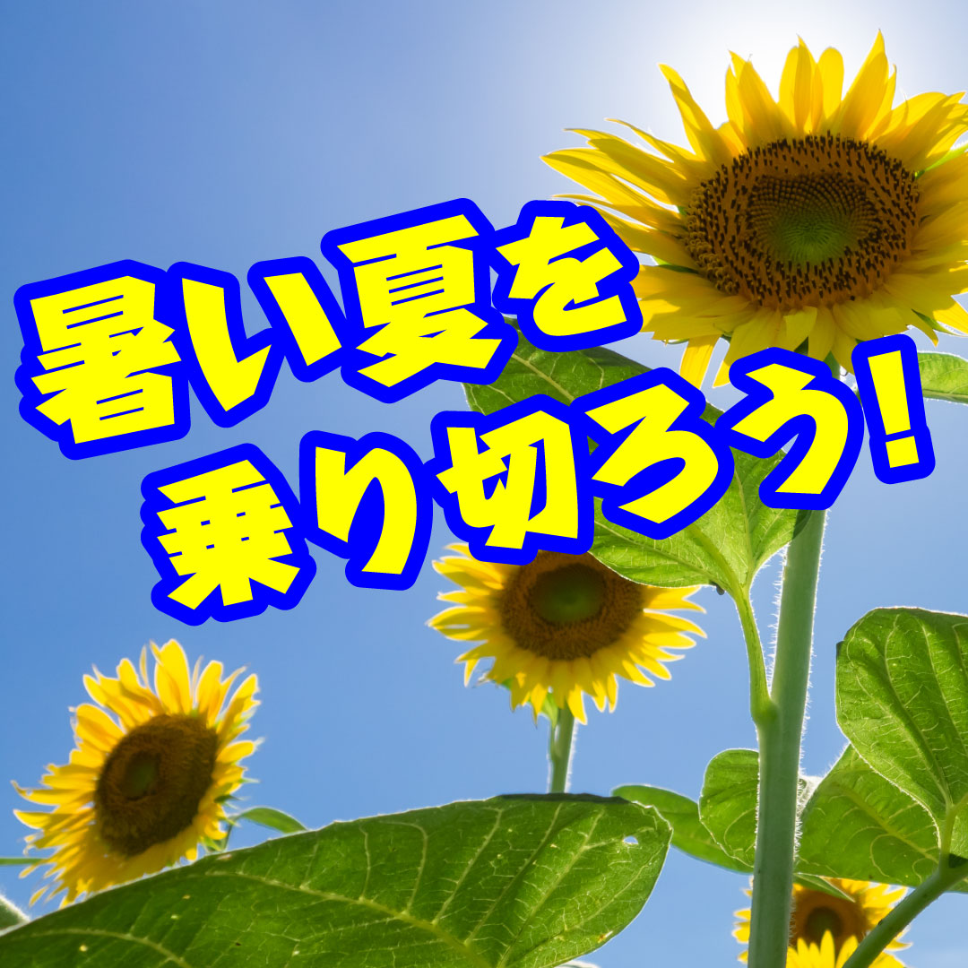 暑い夏を乗り切る