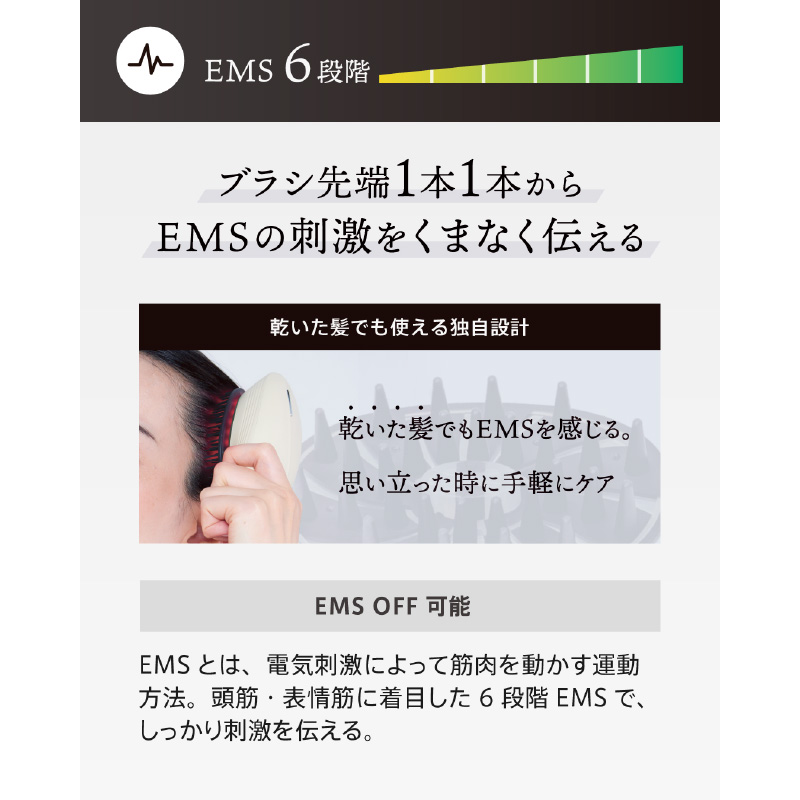 EMS6段階