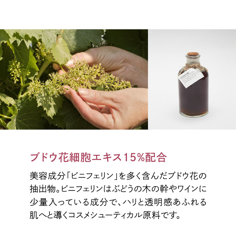 ブドウ花細胞エキス15%配合