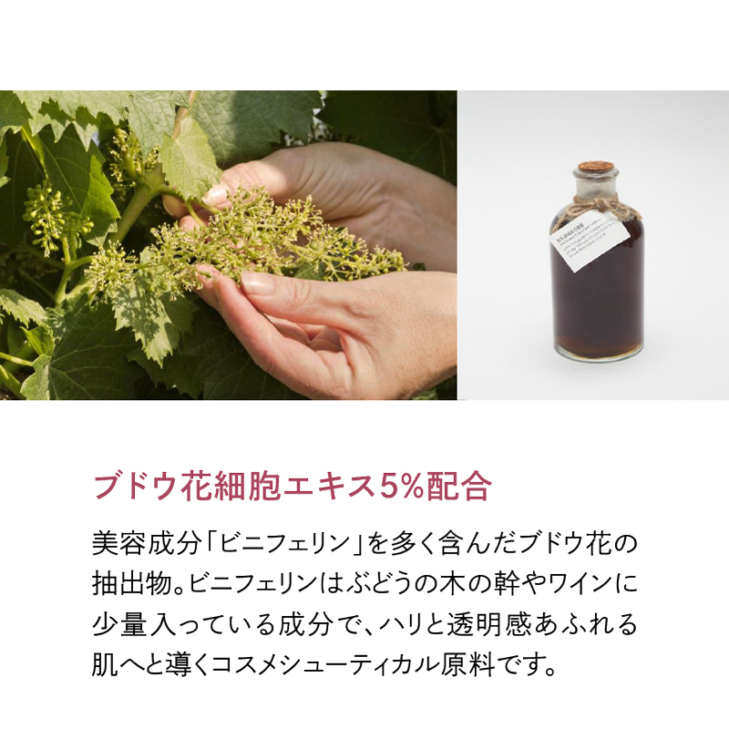 ブドウ花細胞エキス5%配合
